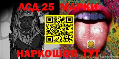 индика Можга