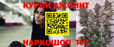 стаф Моздок