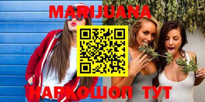 индика Можга