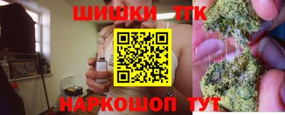 стаф Моздок