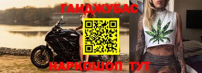 индика Можга