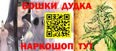 индика Можга