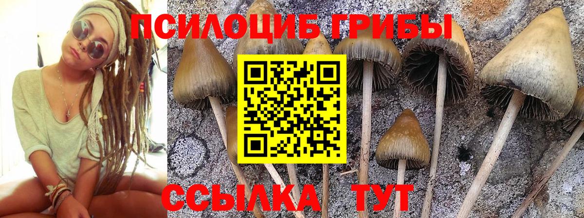 Галлюциногенные грибы ЛСД  магазин    Пушкино  Вход с VPN 