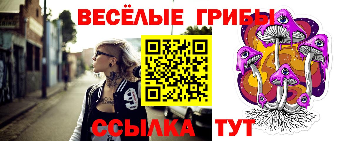 Галлюциногенные грибы Psilocybe Пушкино
