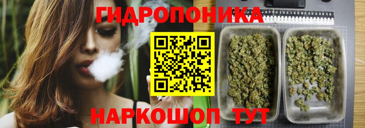 Шишки марихуана планчик  МАРИХУАНА планчик  Конопля семена  Пушкино  Вход с VPN 